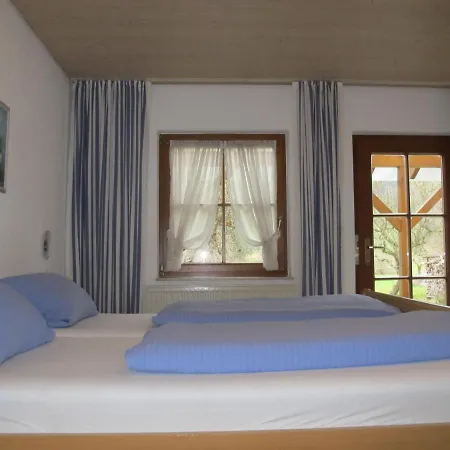 Adler Wangen im Allgäu