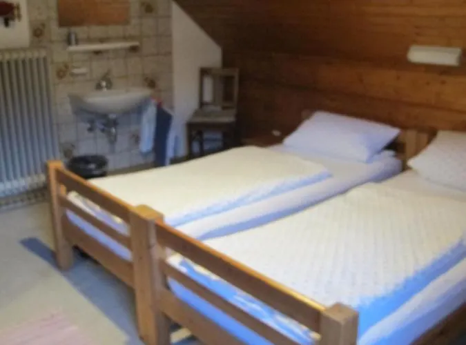 Mini-hôtel Adler Wangen im Allgäu