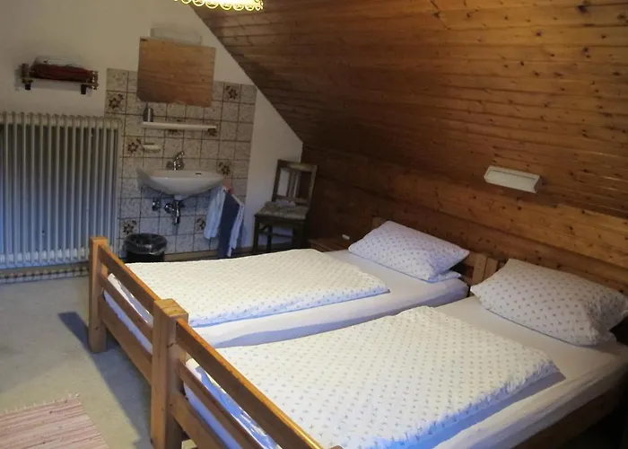 Adler Mini-hôtel Wangen im Allgäu